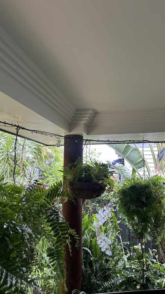 Brisbane Alfresco Oasis - 4 Step Cornice