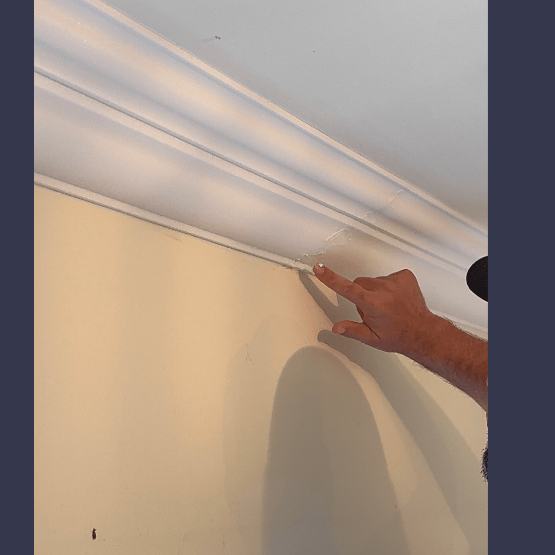 Nordsjo Professional Super Filler - Cornice Filler - Cornice Pro1 liter