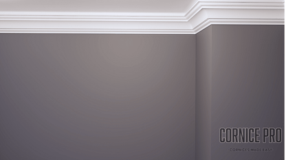 Raven Striplight - Modern LED Cornice - Cornice Pro100 x 100 x 2000