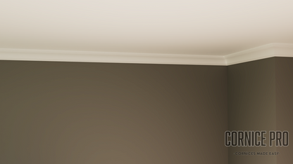 The Newcastle Cornice